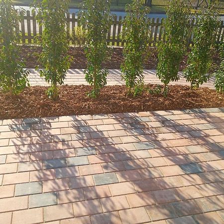 Ferienwohnungen Im Dorfe Soltau Ngoại thất bức ảnh